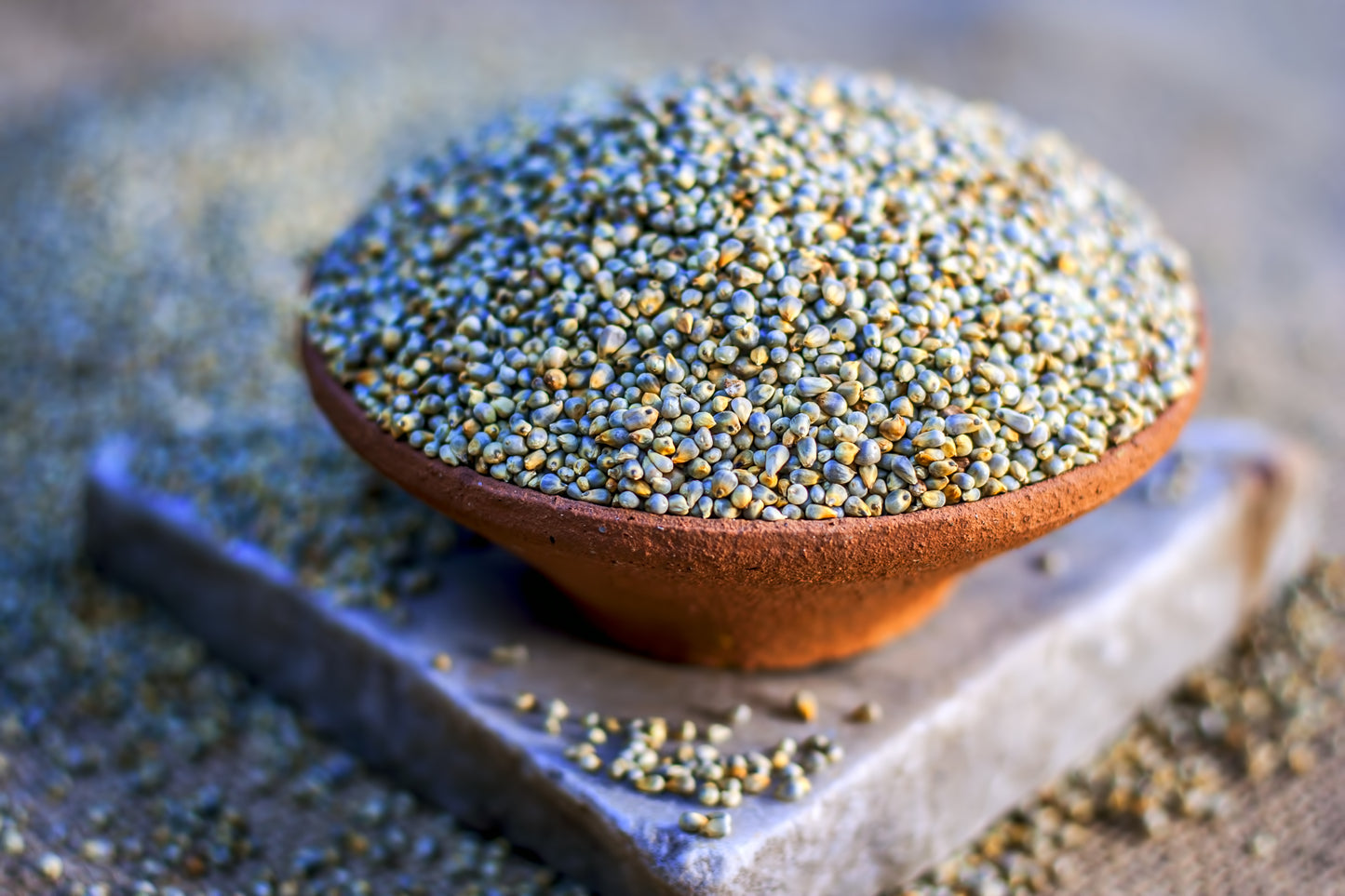 Pearl Millet (Bajra)