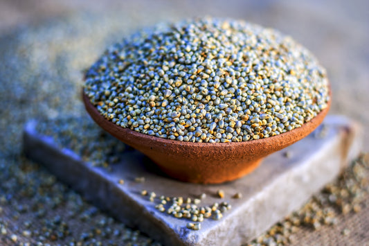 Pearl Millet (Bajra)